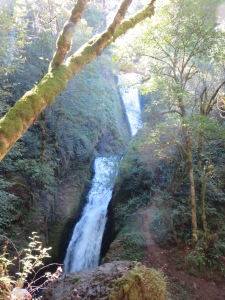 Bridal Veil Falls, waterfalls, Oregon, hiking trails, forests, Columbia River Gorge, outdoors,